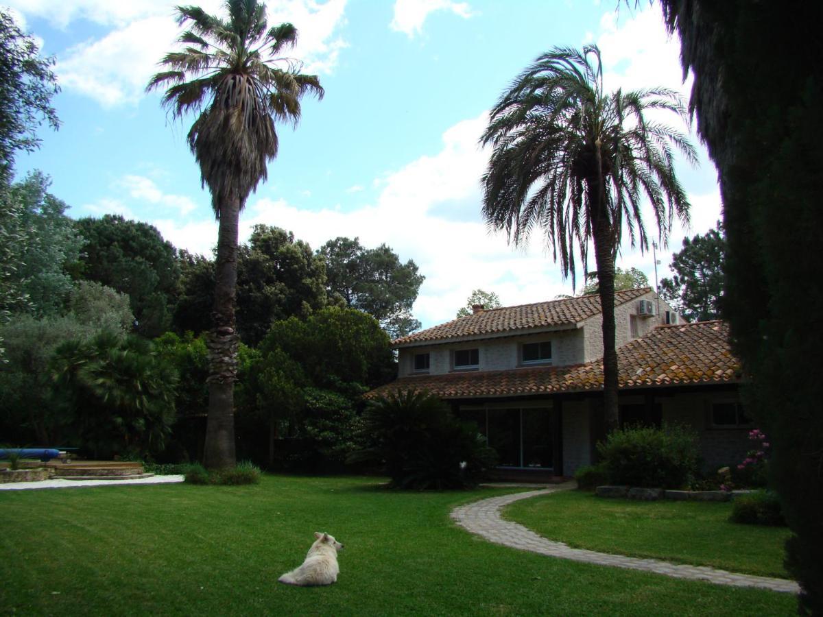 La Villa Saint Andre - Argeles Sur Mer Exterior foto