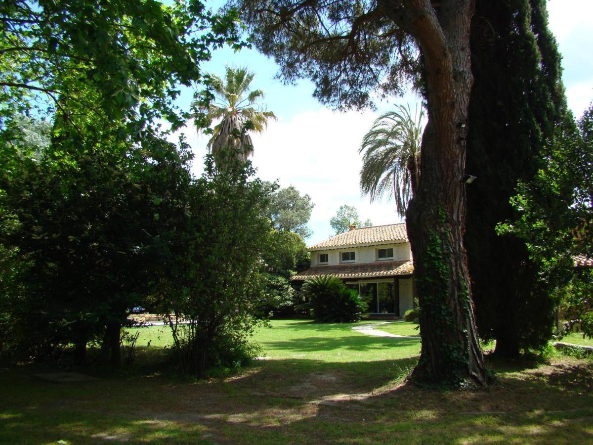 La Villa Saint Andre - Argeles Sur Mer Exterior foto